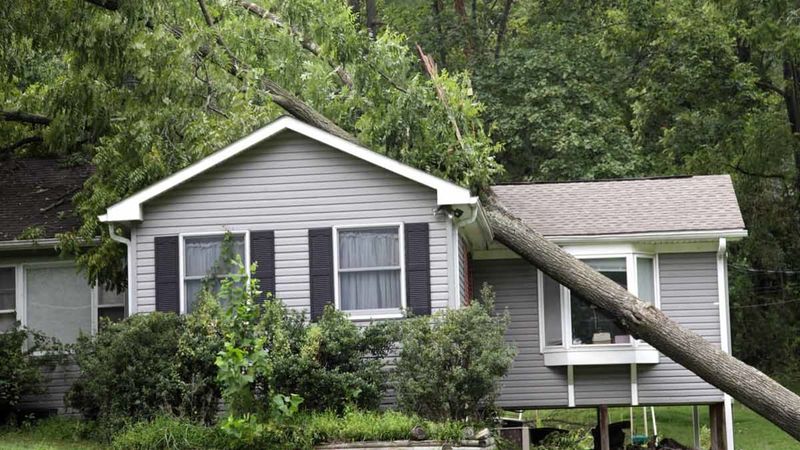 Insurance may handle some losses before fault is resolved