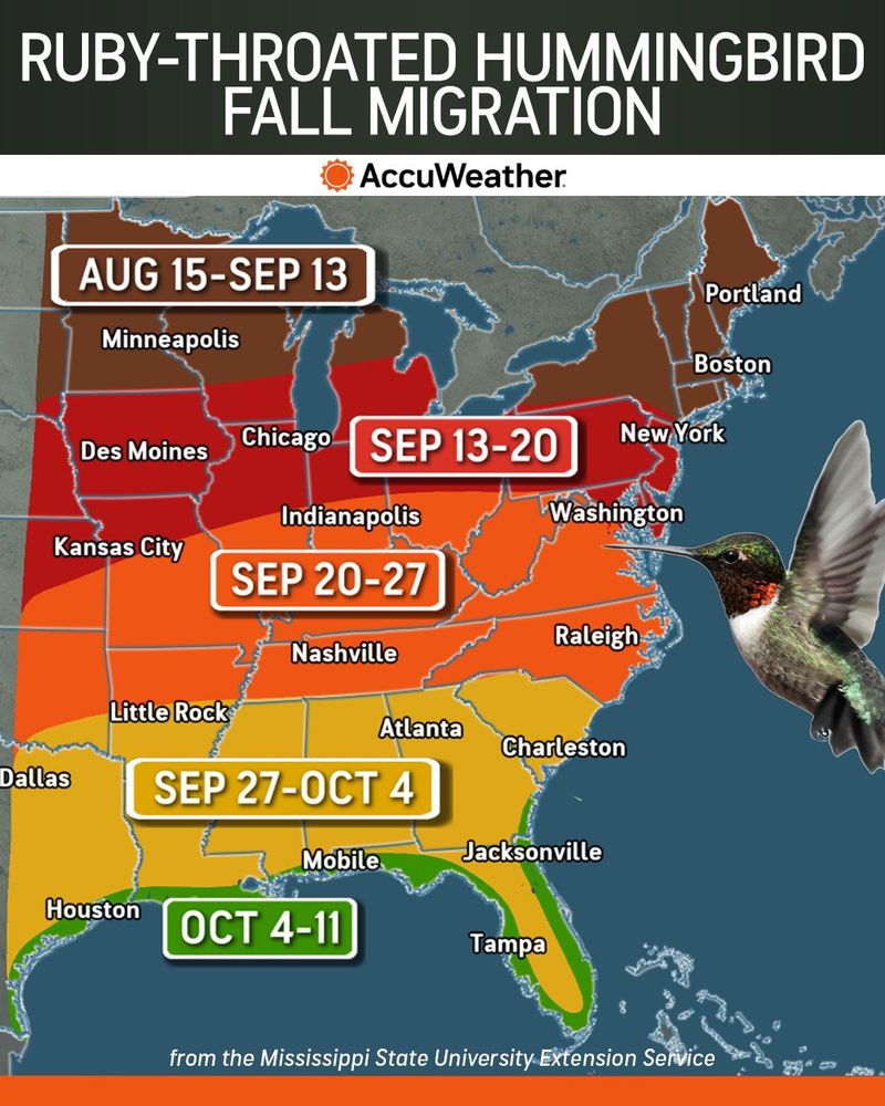 Interpret fall visits by species and location