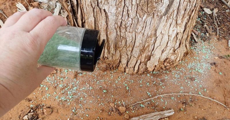 Irish Spring soap