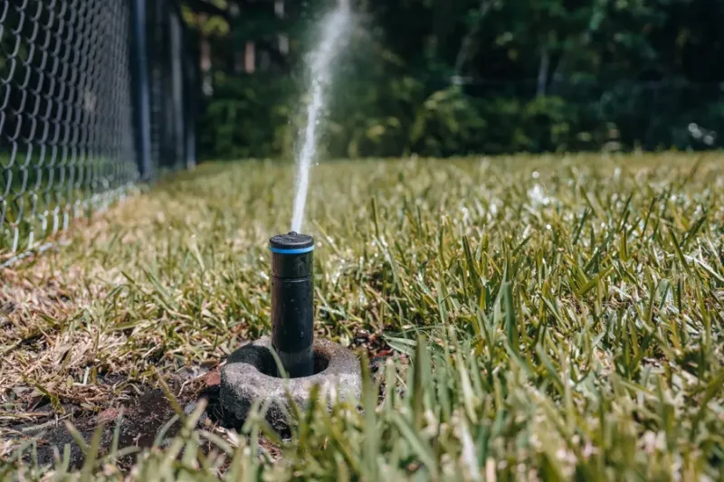 Irrigate by visible stress and pause after adequate rainfall