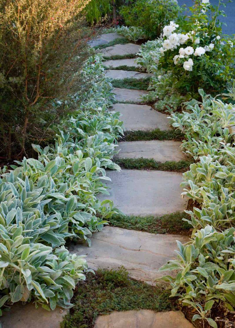 Keep Footpaths Separate From the Groundcover