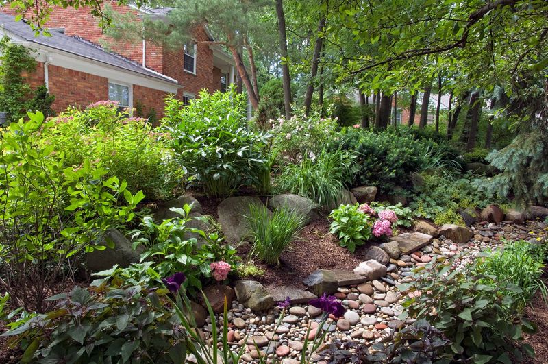 Keep One Damp, Shady Corner