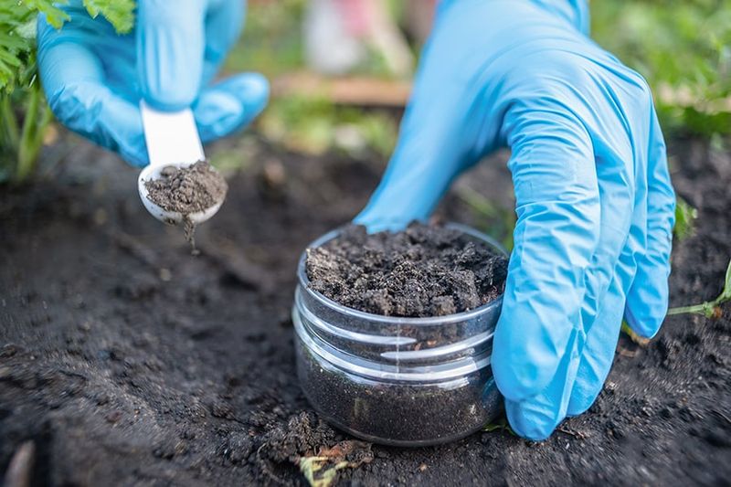 Keep Scouting and Feed Plants Based on Need Keep Scouting and Feed Plants Based on Need