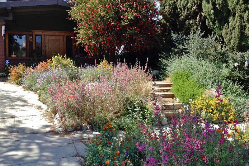 Keep enough insect habitat for the bird to find prey