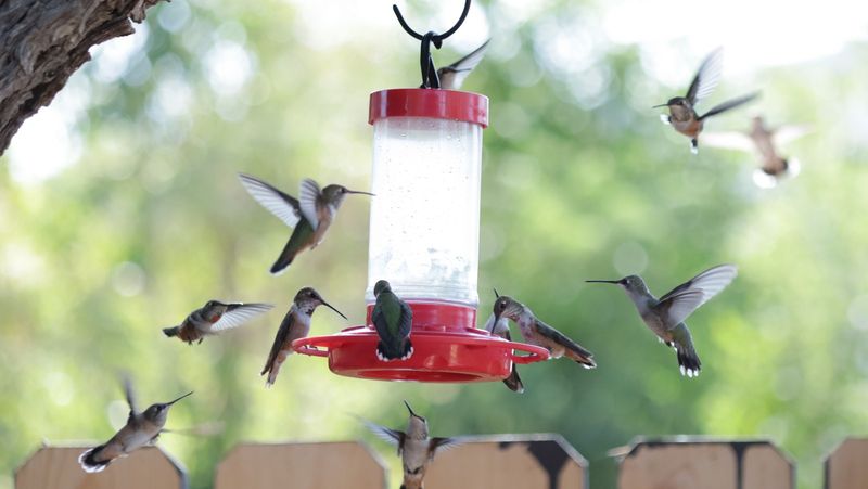 Keep feeding through the passage Keep feeding through the passage