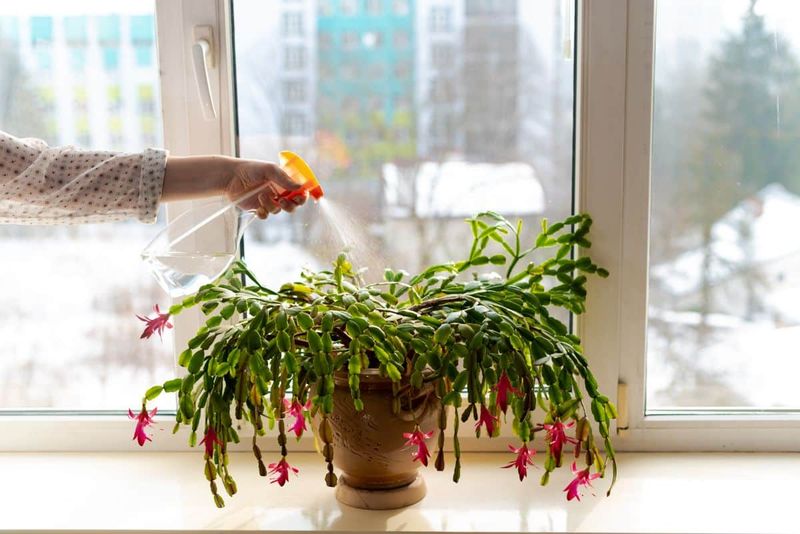 Keep moisture steady without creating drought