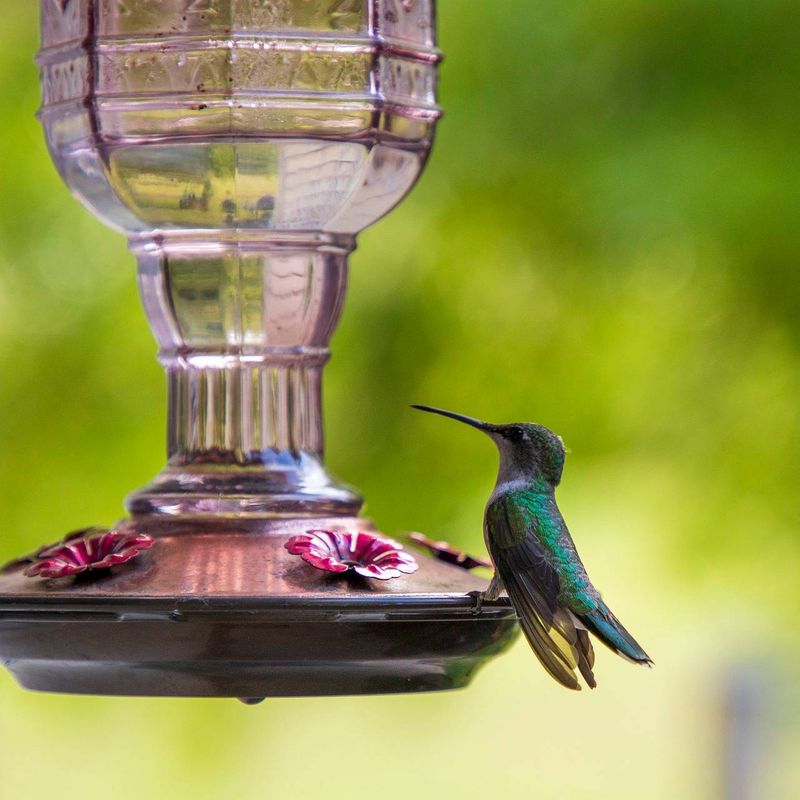 Keep nectar fresh in Southern heat Keep nectar fresh in Southern heat