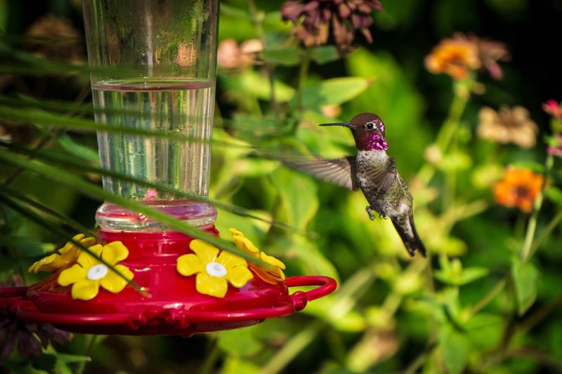 Keep nectar fresh while you investigate