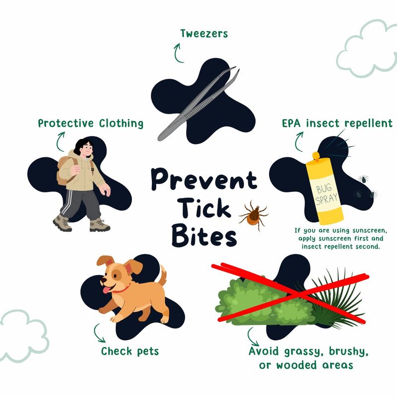 Keep personal and pet protection in the plan