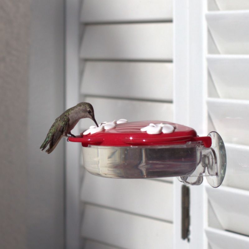 Keep the feeder close to glass Keep the feeder close to glass