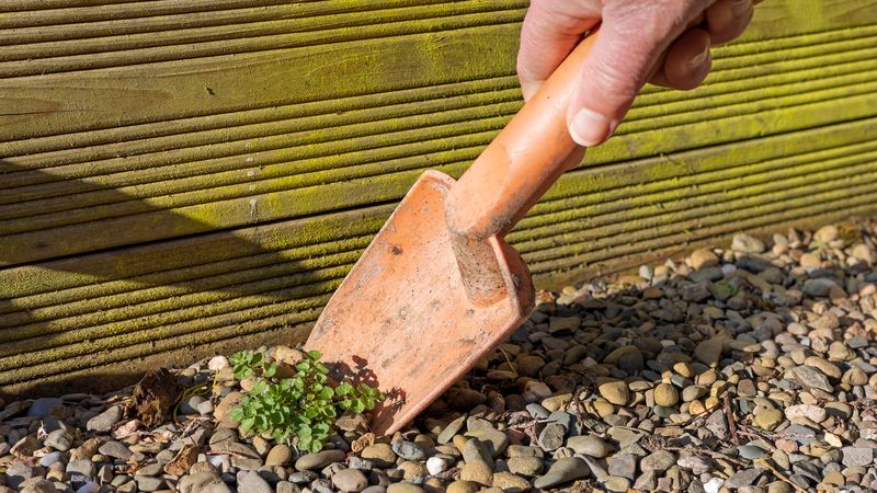 Keep the maintenance window short