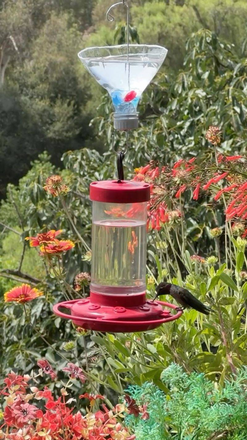 Keep the recipe simple and give the yard time