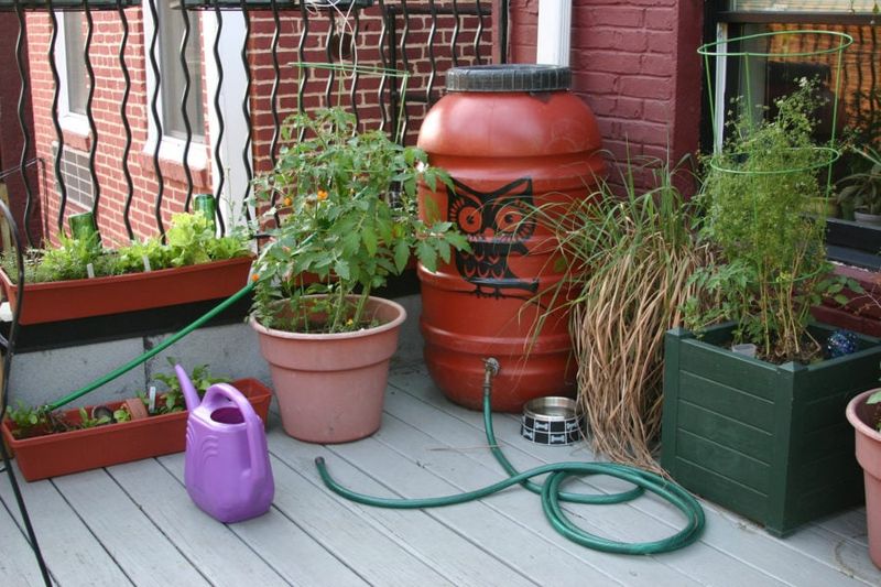 Keep untreated roof runoff with ornamental plants