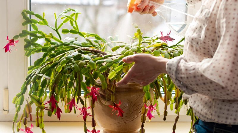 Keep water, light, and fertilizer from working against you