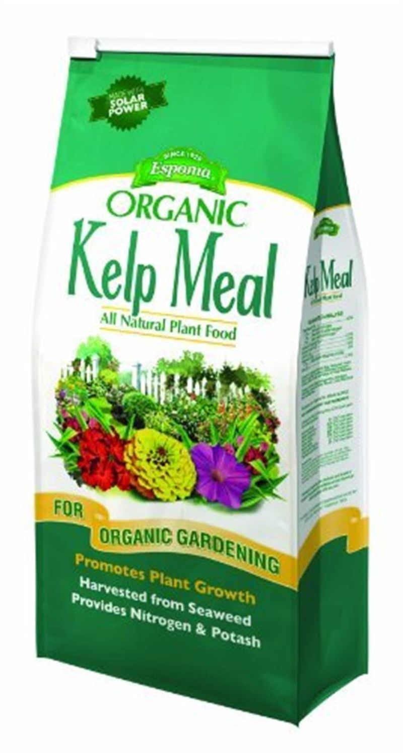 Kelp Meal