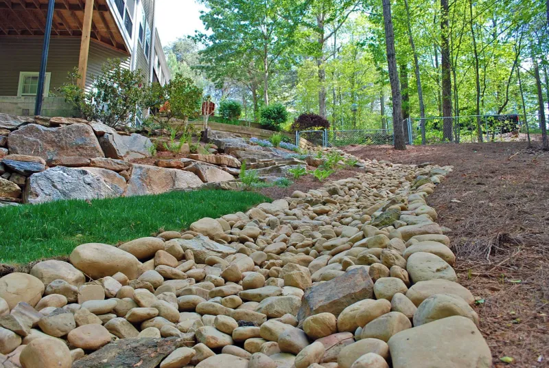 Know when the landscape needs more than a shrub Know when the landscape needs more than a shrub