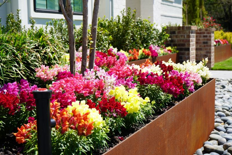 Layer in seasonal color, perennials, and woody plants