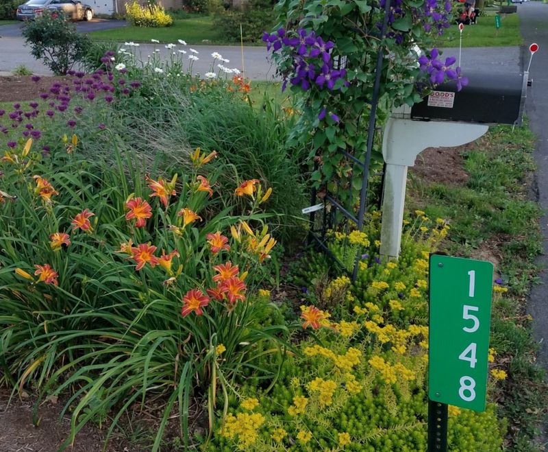 Layer the Plants Around Delivery and Roadway Clearances Layer the Plants Around Delivery and Roadway Clearances