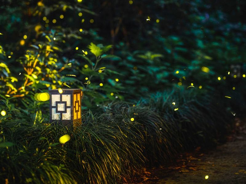 Leaving Landscape Lights on All Night