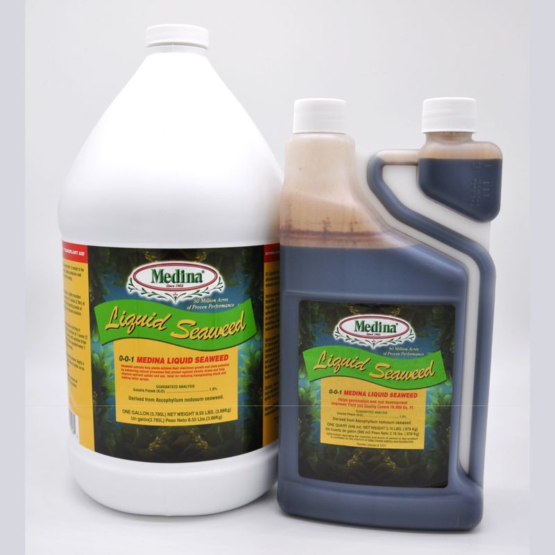 Liquid Seaweed Spray