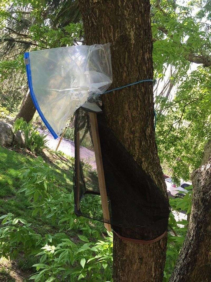 Localized controls can protect the yard without trapping wildlife