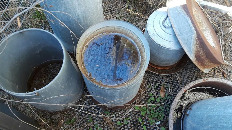 Look for standing water, not damp soil