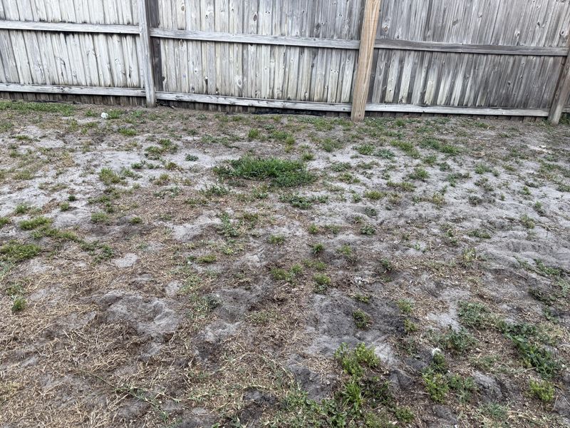 Loose Bare Sand Beside Beds