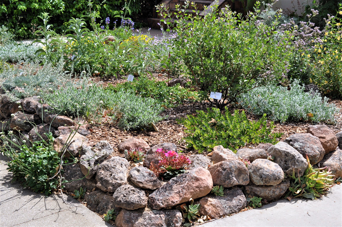 Los Angeles County Arboretum, Arcadia