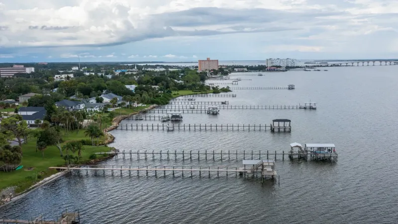 Low-Chemical Lawns and Cleaner Stormwater