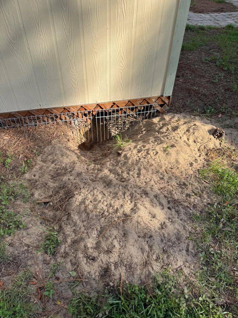 Low, Hidden Spaces Under Decks, Sheds, and Porches