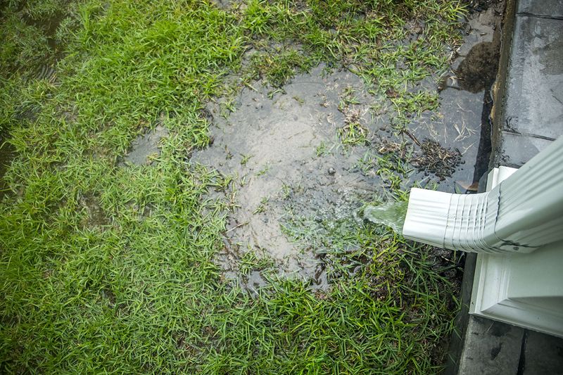 Low Spots That Hold Water Low Spots That Hold Water