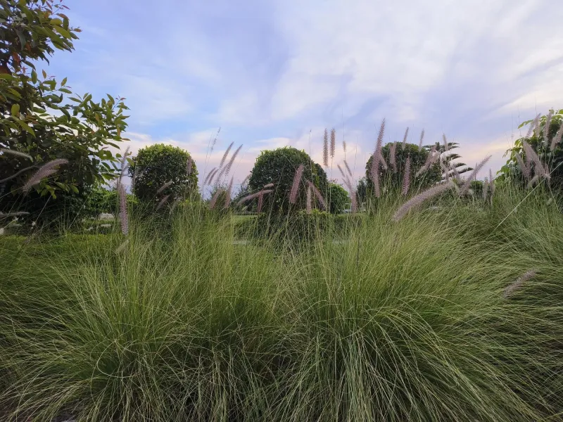 Maintain the clump while meeting fire-safety rules