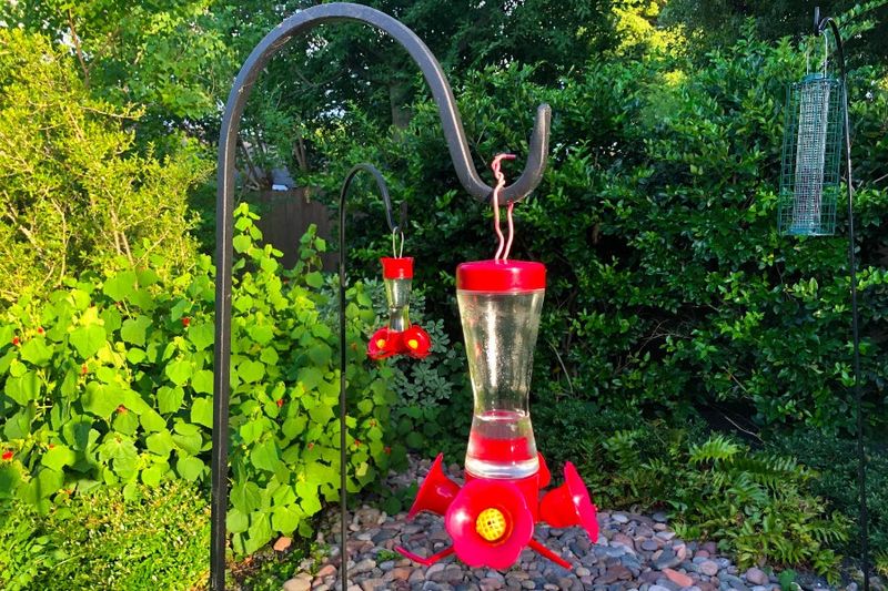 Make Feeder Care Part of a Healthy Yard