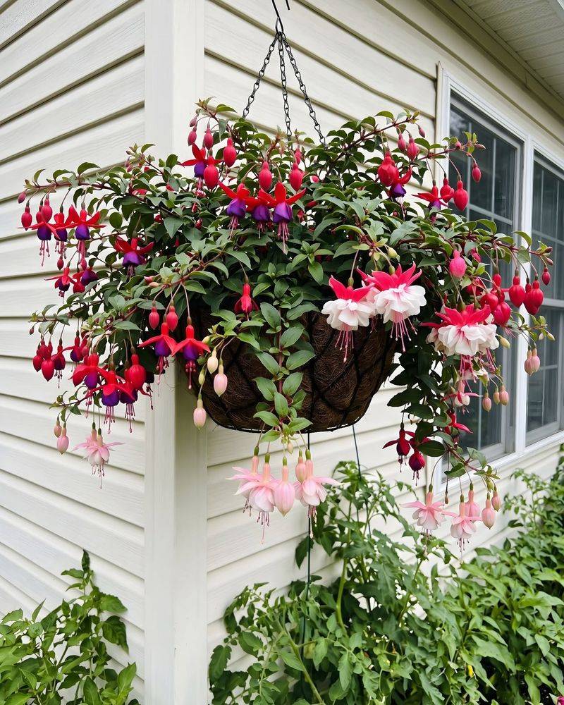 Make baskets and containers less exposed Make baskets and containers less exposed