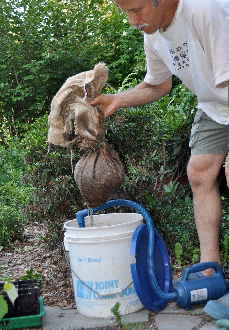 Make compost tea one measured part of the tomato plan Make compost tea one measured part of the tomato plan
