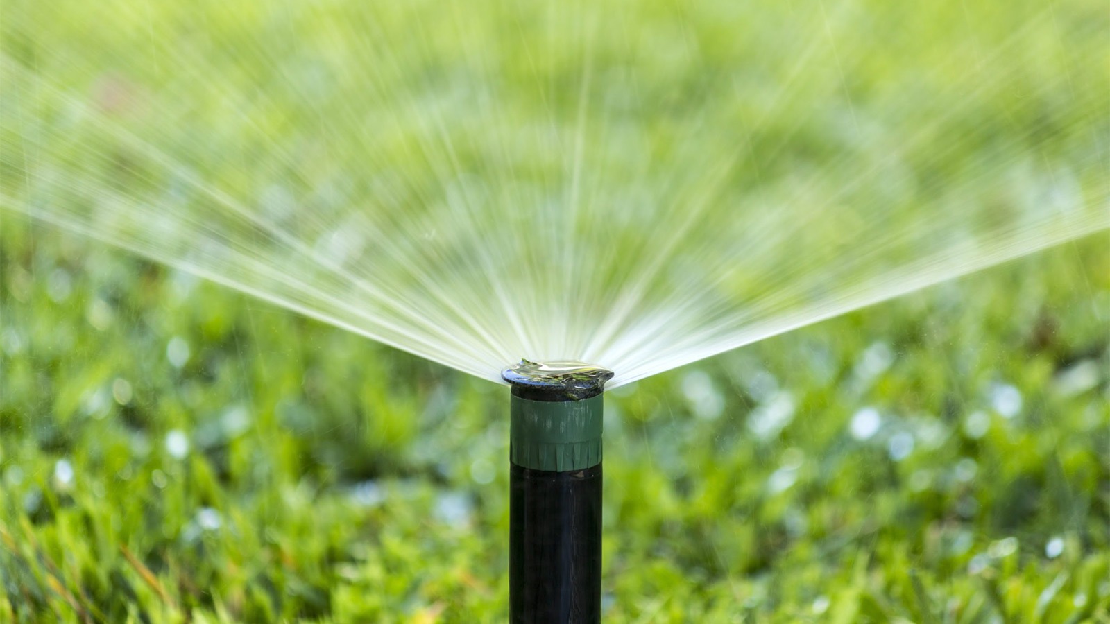 Make irrigation coverage uniform and responsive to turf stress