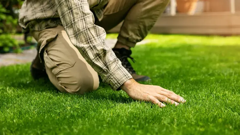 Make the final call with the visible-grass test Make the final call with the visible-grass test