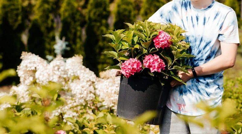 Make the first move: reduce heat and check the root zone