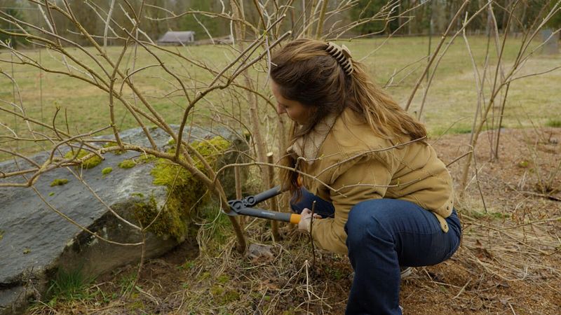 Manage growth while preserving useful habitat