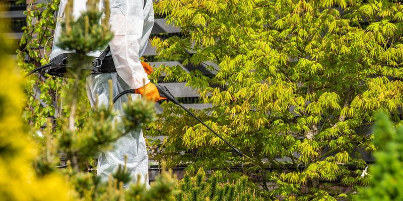Manage mosquitoes and aphids directly through integrated pest management