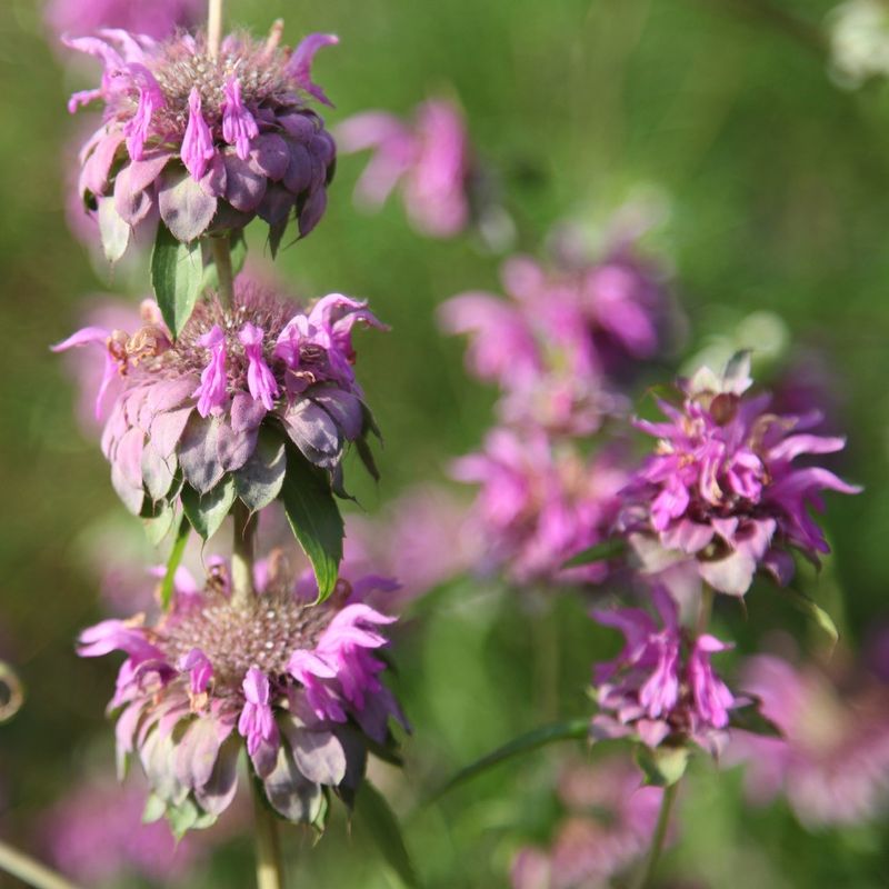 Manage reseeding, density, and airflow
