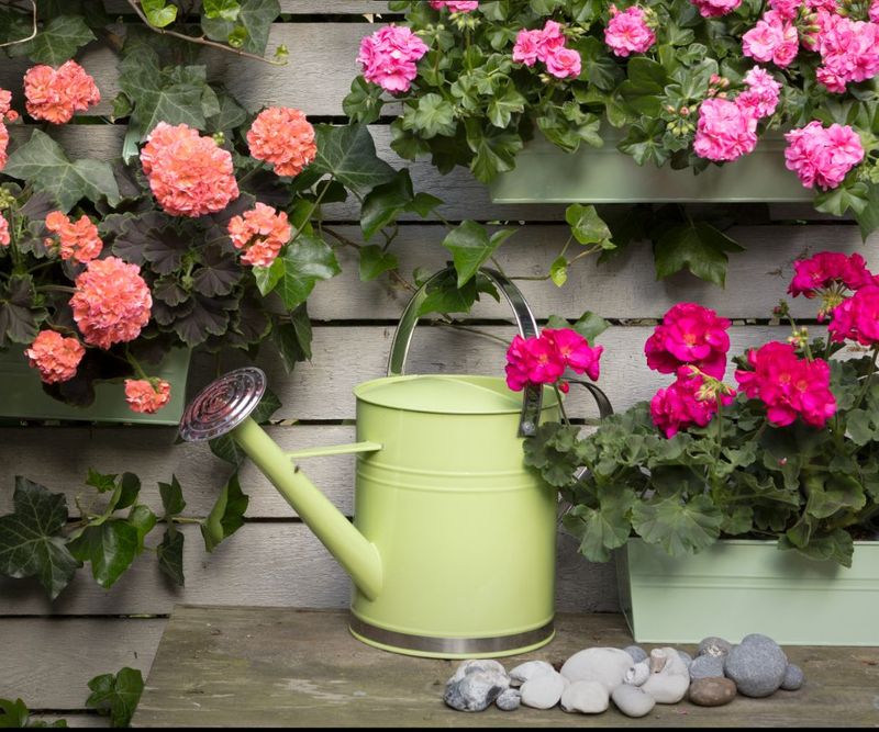 Match Fertilizer to Sound Watering