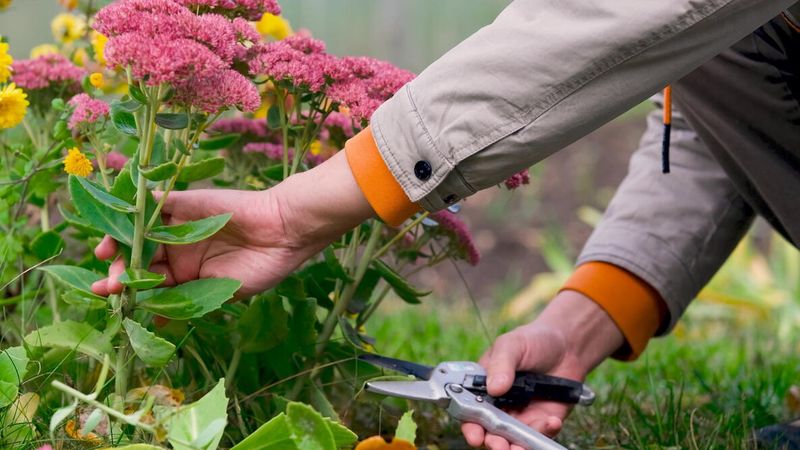 Match the cleanup choice to your garden’s priorities