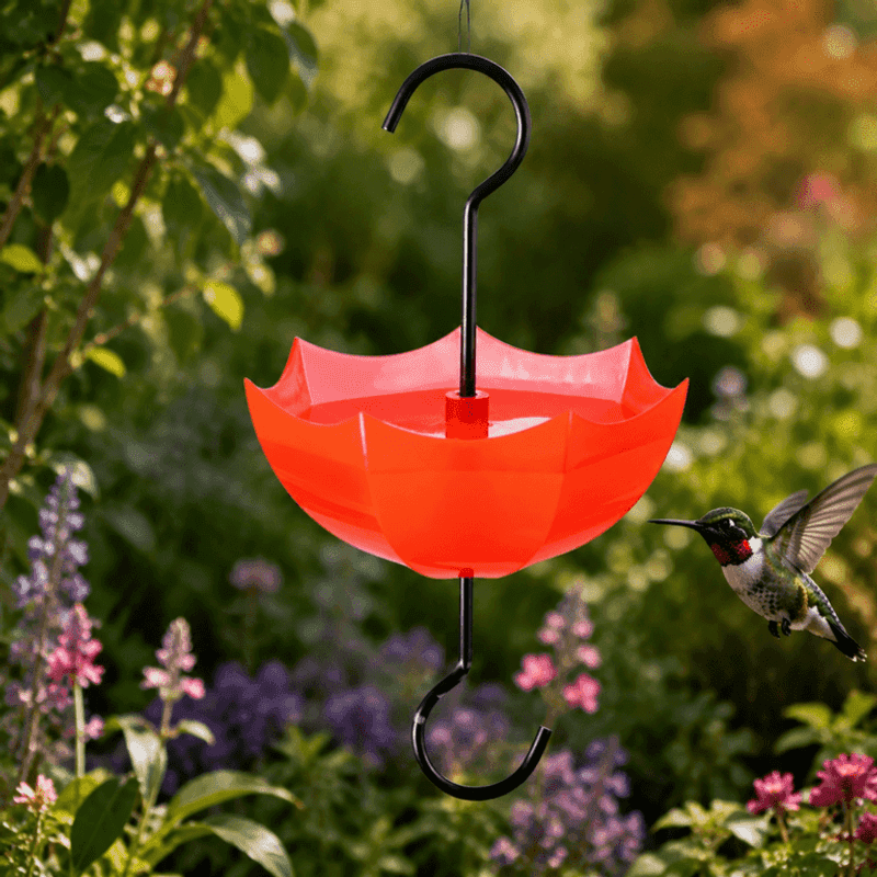 Match the feeder fix to the insect problem