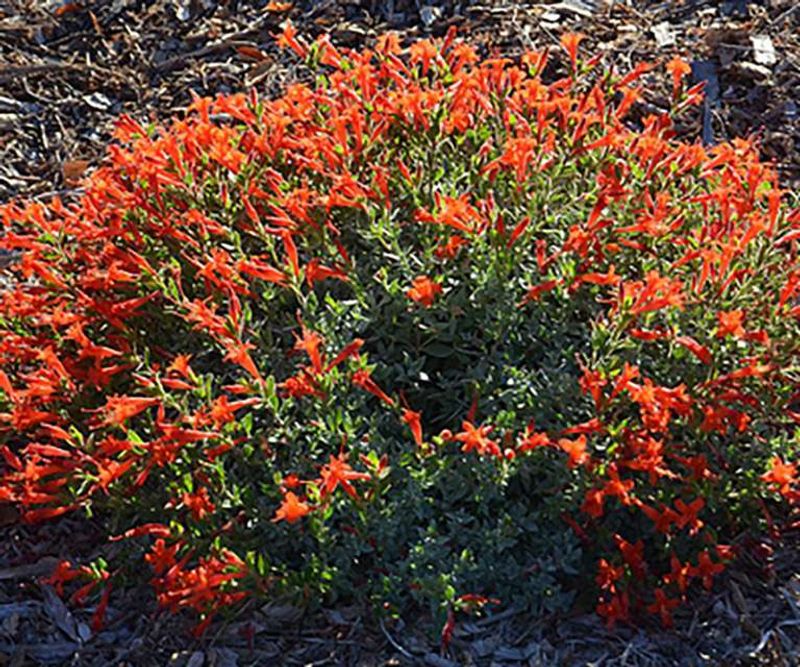 Match the planting spot to heat, soil, and water