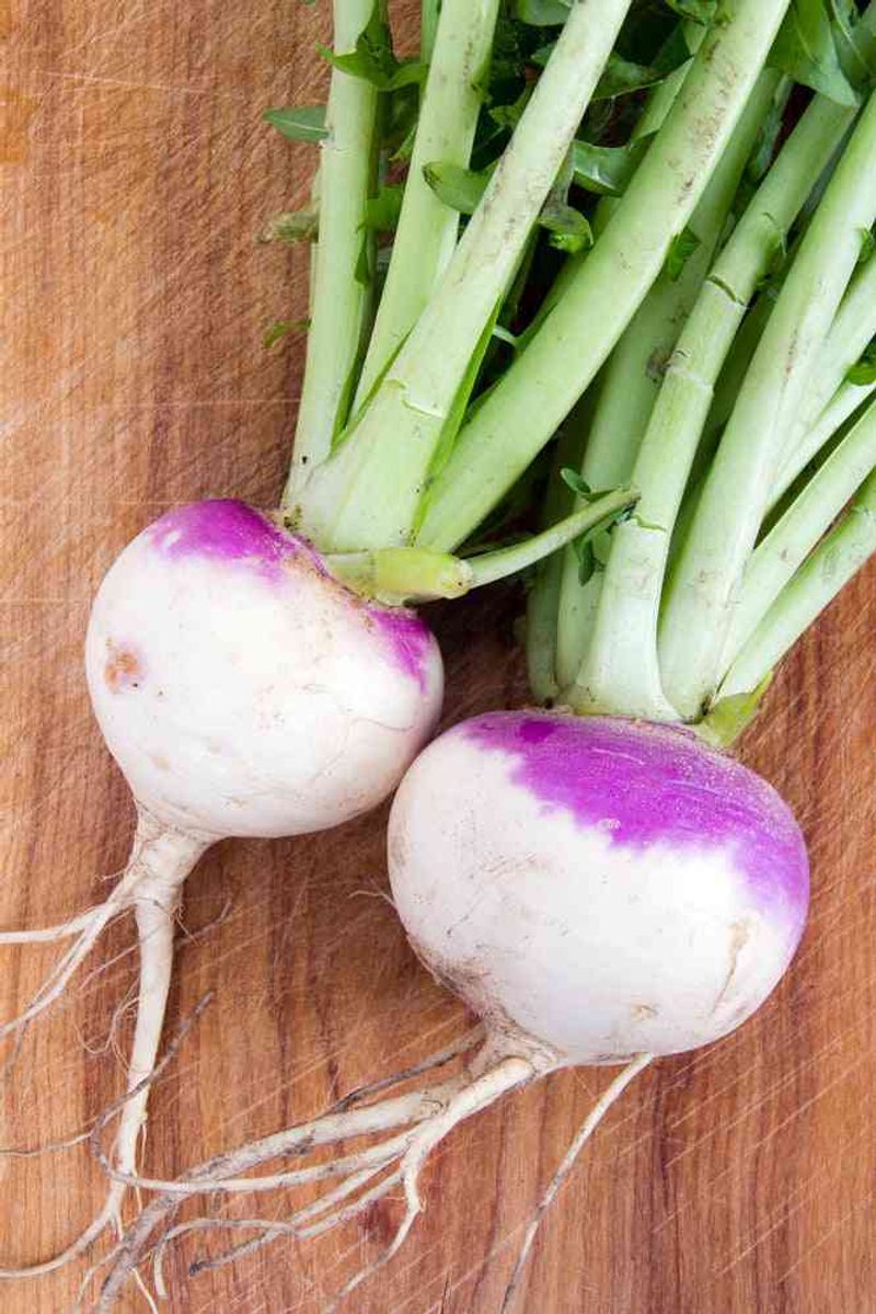 Match the planting window and cultivar to root production Match the planting window and cultivar to root production