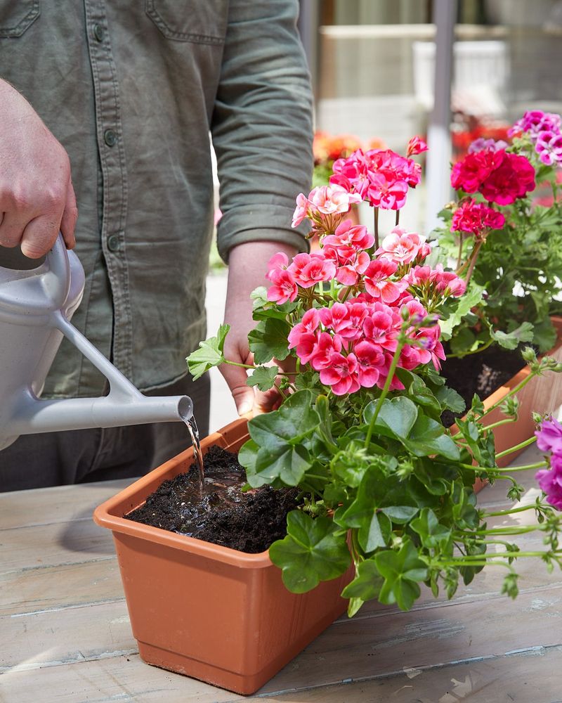 Match the watering correction to the soil you find