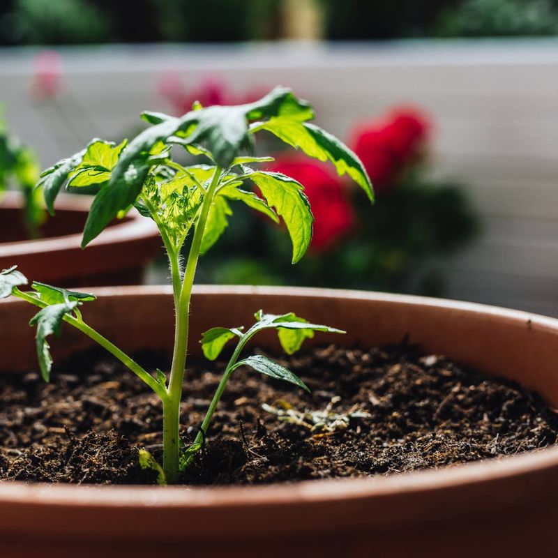 Measure recovery instead of forcing more growth