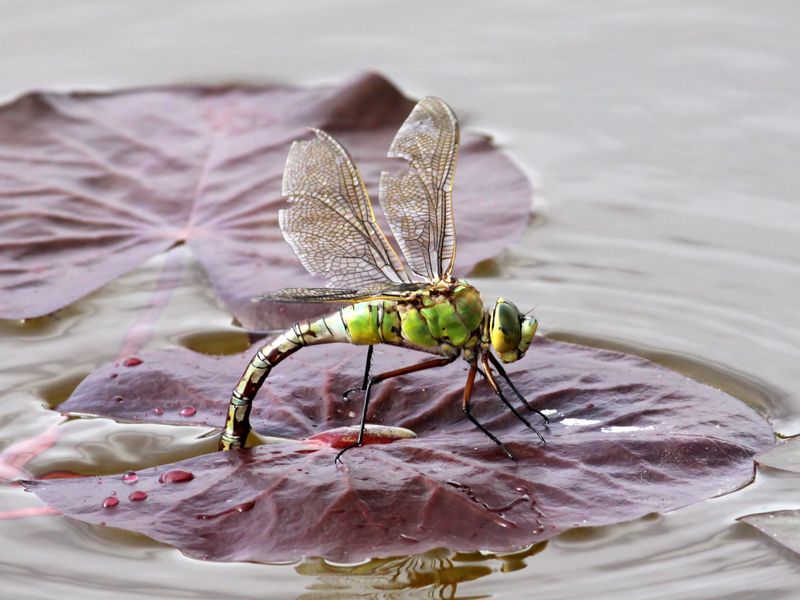 Measure success by habitat, not constant activity
