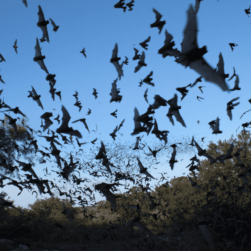 Measure success by habitat, not overnight results